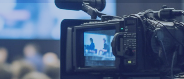 彩运网cy123生物