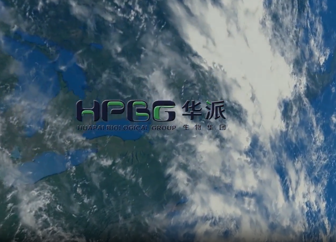 彩运网cy123生物分发系统